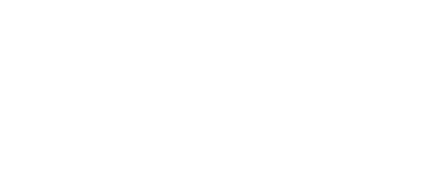 ICeF